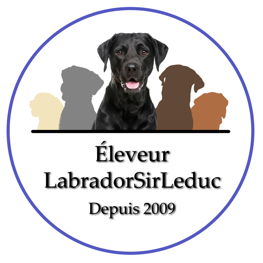 LabradorSirLeduc Logo